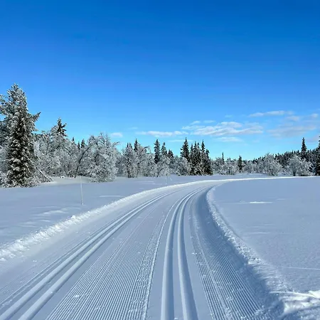 Feriehus Family-friendly Seter Near Makalaus Peak