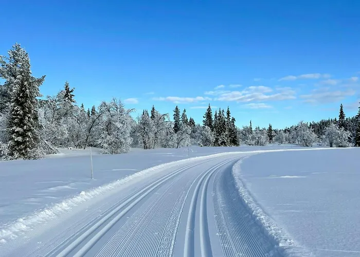 Feriehus Family-friendly Seter Near Makalaus Peak