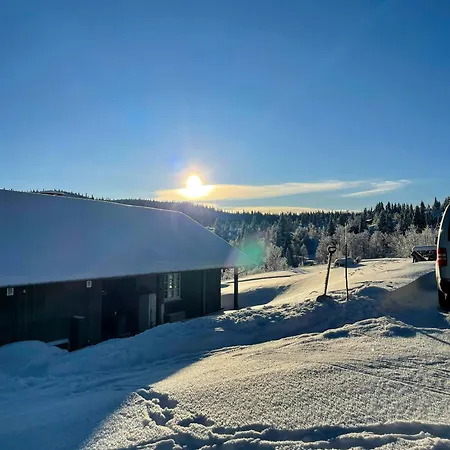 Prázdninový dům Family-friendly Seter Near Makalaus Peak Reinli